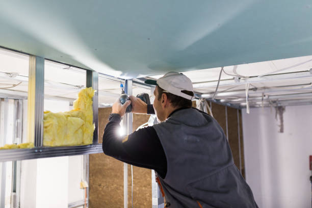 Professional Insulation Contractor in Loudonville, NY