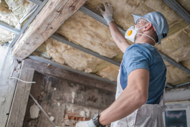 Best Eco-Friendly Insulation in Loudonville, NY