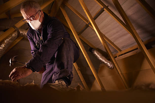 Best Cellulose Insulation in Loudonville, NY