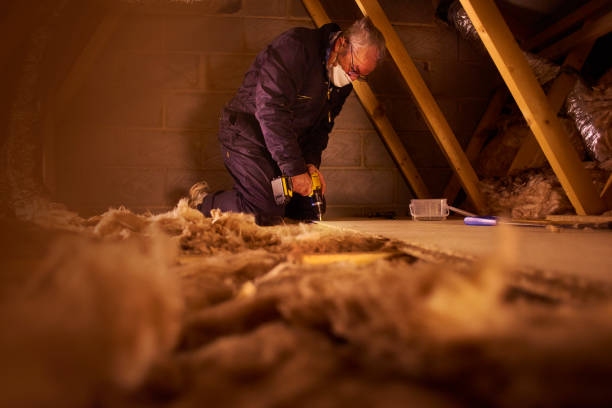 Best DIY Insulation Kits and Guidance in Loudonville, NY